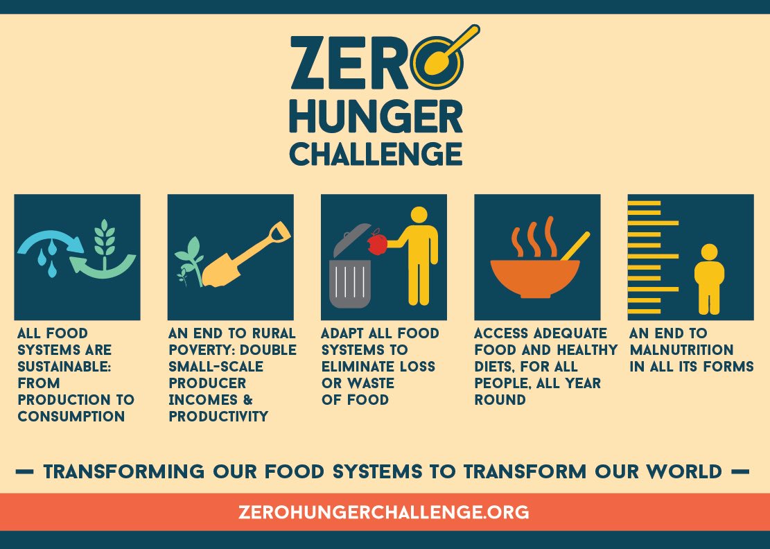 ZeroHunger's tweet image. Also a #fact: we have the tools and knowledge to end #hunger and #malnutrition by 2030. #ZeroHunger #GlobalGoals