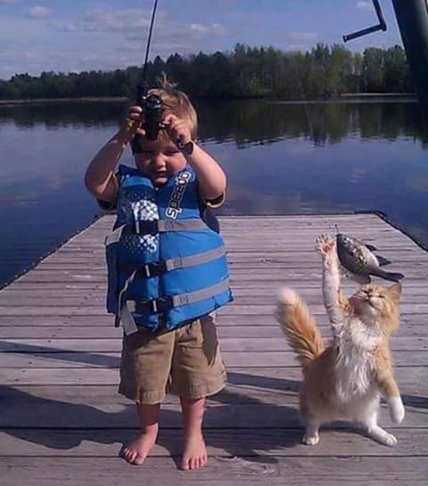 Смешные фотки. Смешные снимки. Кот Рыбак. Забавные ситуации. Коты на рыбалке.