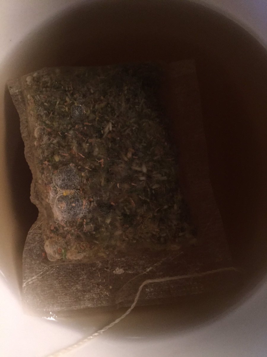 PedritoLoya's tweet image. Me veo en la necesidad de unirme al #TeaCrew