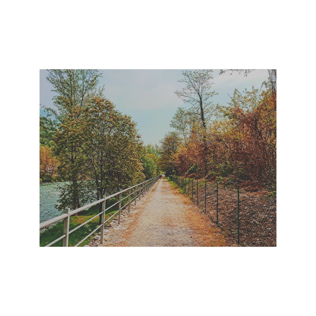 simonemazzetti1's tweet photo. #smallpic #landscape #italy https://t.co/spVErd4GRq