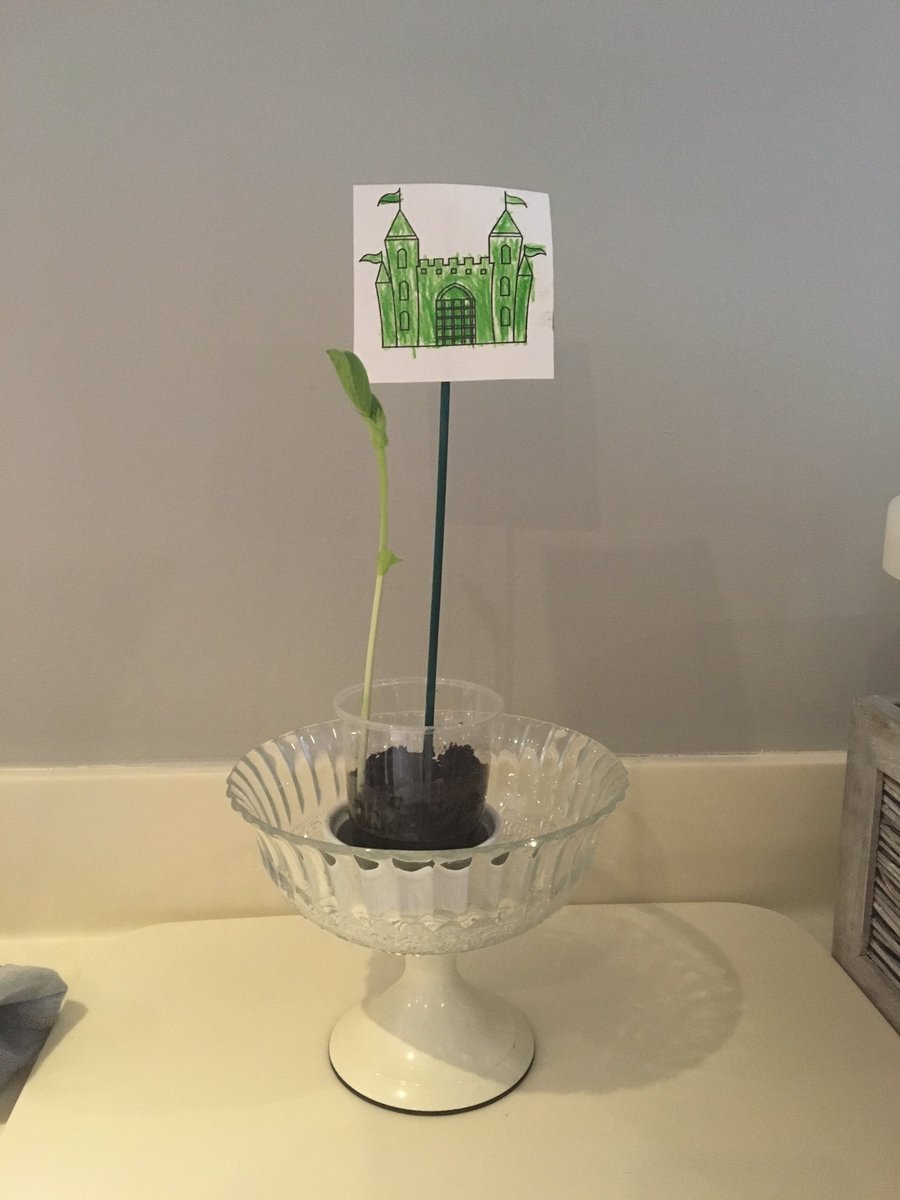 Colleen_Bil's tweet photo. @BPSFoundationSt Stanley B is pleased with his horticultural skills he's finally at the castle 😀 https://t.co/5fdZYWbXoG