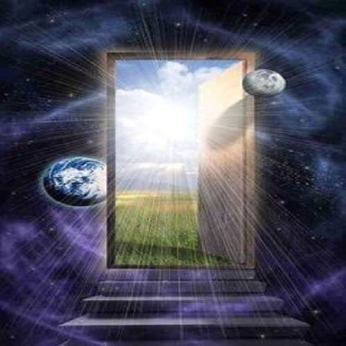 alessandra frassinet tweet media