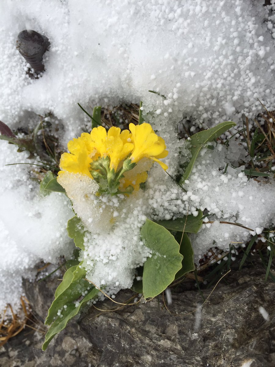 Spring meets Winter. Snow in #Munich <a href="/visitbayern/">Visit Bayern</a> <a href="/ErkundeDieWelt/">Michael Mantke</a> <a href="/GettyImages/">Getty Images</a>