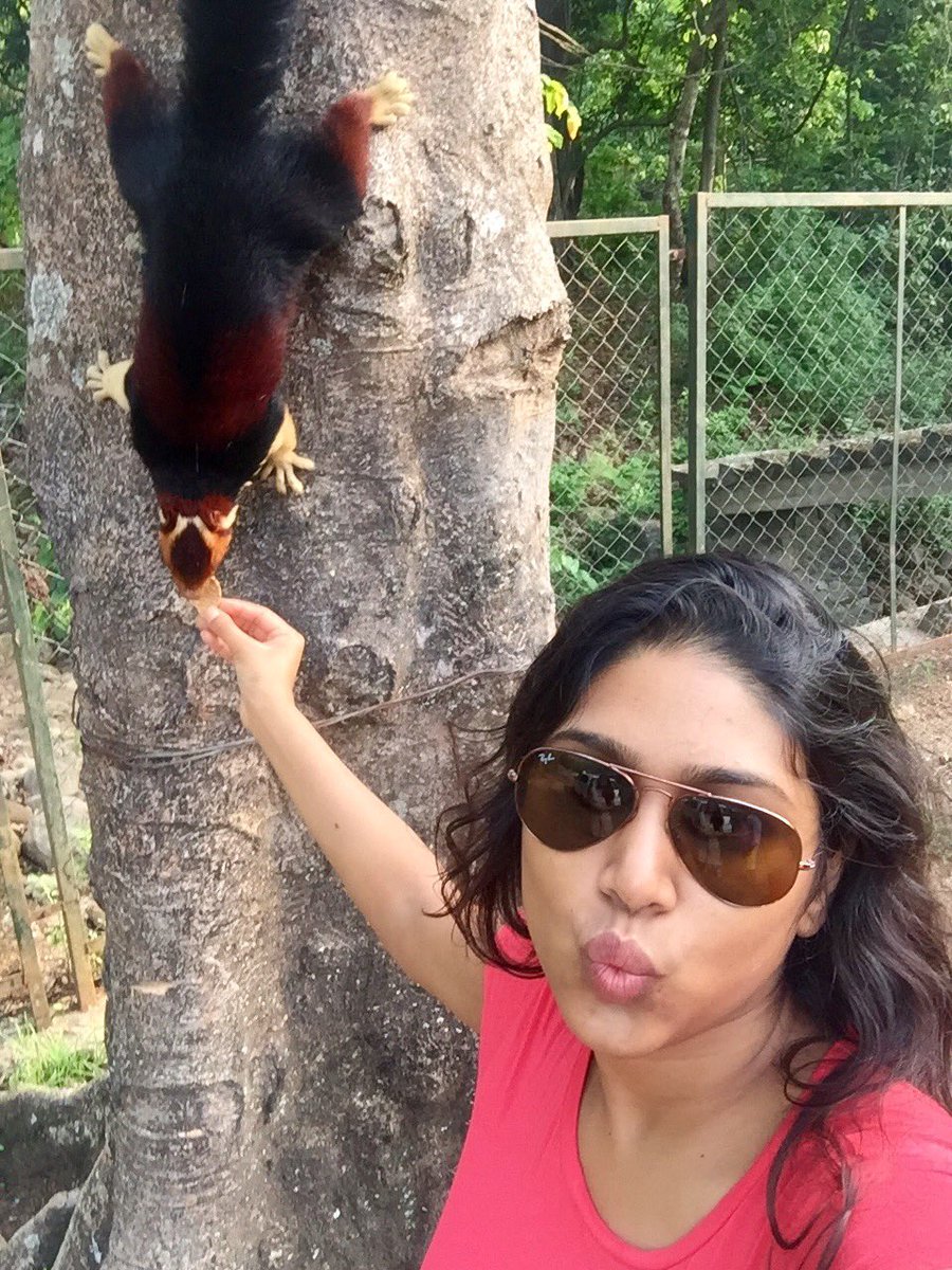 CinemaTimesOff's tweet photo. #ManishaYadav feeding food to #ferret in kerala forest.
Super @ManishaYadavS
#SelfiewithPet #selfie https://t.co/4vURK2ddKj