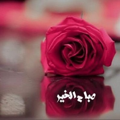 حنون مديني (@simohnoon) on Twitter photo 