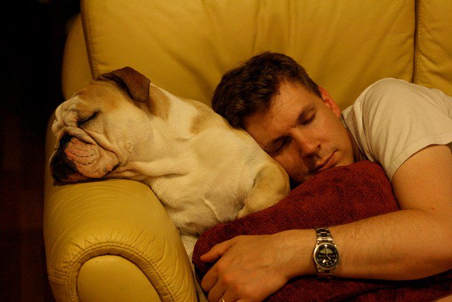 SupremeFitClub's tweet photo. The Sleep Remedy That Doubles Fat Burning https://t.co/SHx6D6gv4t https://t.co/vXZuhMh7OT