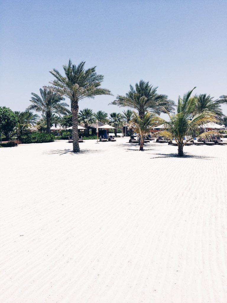 GregorSIDERIS's tweet photo. Wonderful moments Dubai ☀️🌴☀️ #MyDubai #RCMemories #flydubai #travel @RitzCarlton https://t.co/mn1NZY8bMj