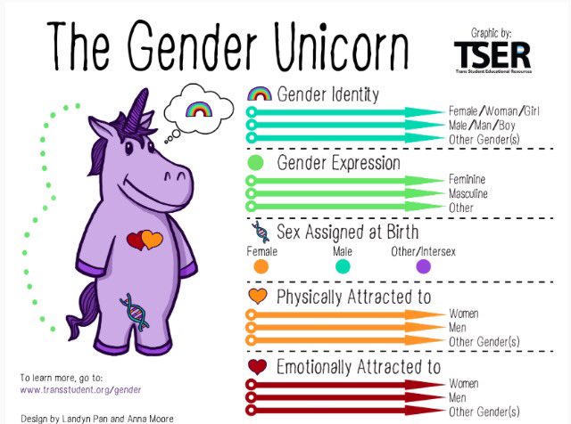 KGElevkar's tweet image. The Gender Unicorn❤️💛💚💙💜 #humanrights #TSER #HBTQ transstudent.org/transstudent