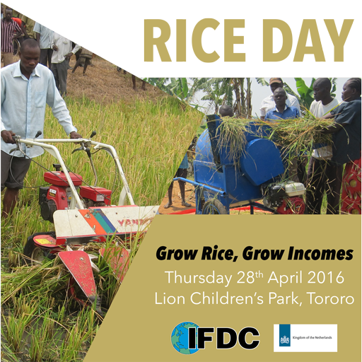 Learn new ideas &amp; easy solutions to rice production, access to finance &amp; marketing at #RiceDay in #Tororo #Uganda