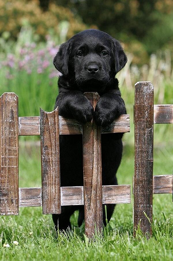 Wanna come over and play later today?