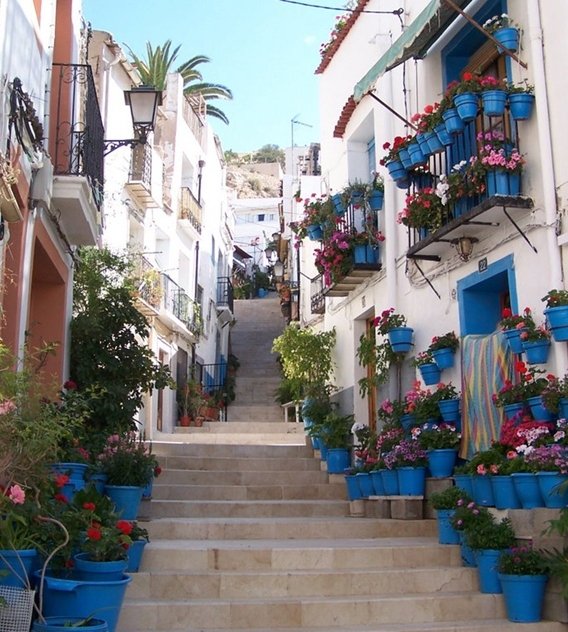 ¡Llegan las #CrucesdeMayo! #Alicante se viste de #flores y de #fiesta en #BarrioSantaCruz goo.gl/pMXKlK