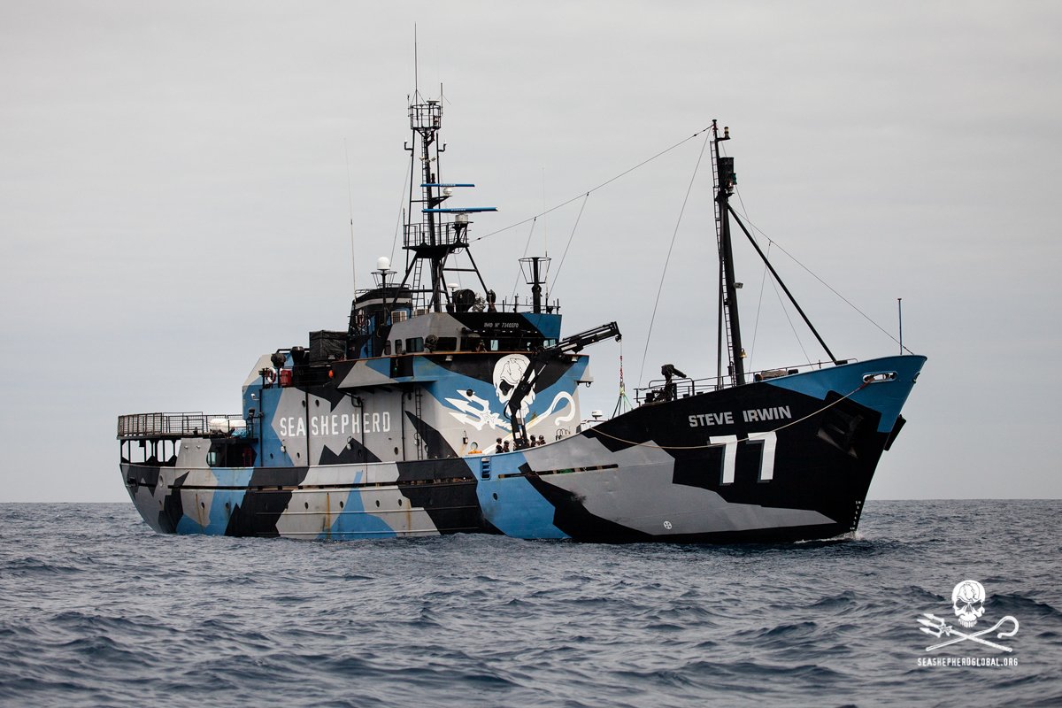 SeaShepherd_Aus's tweet photo. #Update @MYSteveIrwin will be passing by the east coast of Australia this week:
GC 28th
Byron Bay 29th
Syd 1st May https://t.co/eXsHdmtftp