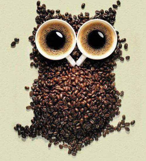 lumpybm's tweet photo. Who needs coffee? I'm buying....#Mondaysucks https://t.co/vla6gqM6t6