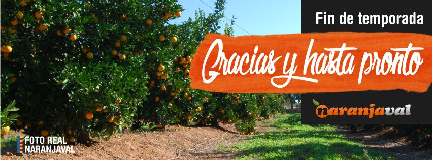 ¡Fin de la temporada! Muchas gracias a todos los que habéis confiado en nosotros.
¡Hasta pronto! #Naranja #Mandarina