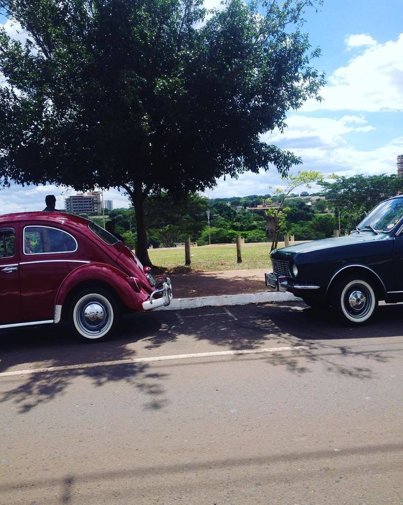 oldcar_photo's tweet photo. Bom Dia ✌🏼️😴!! 📸: @lucas_santana25 #fusca #fuscao #fuscaclube #corsel #fusmaniacos #old #old_ #oldcar #oldcars #ol… https://t.co/bNMuAownOn