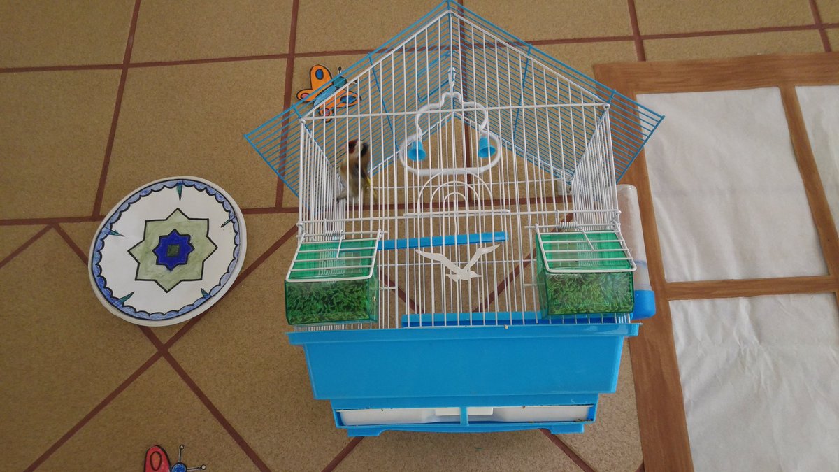 sjd.ceesanrafaelgranada tweet media