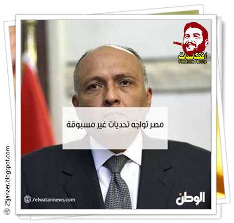 وزير الخارجية: الأمن القومي المصري يواجه تحديات غير مسبوقة  