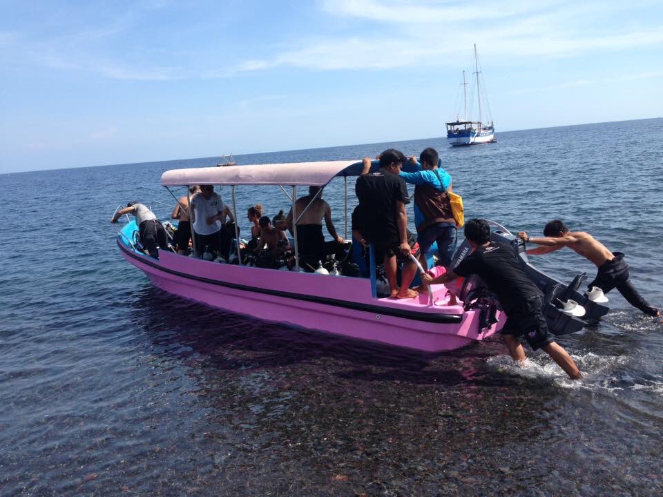 PLOUF Diving - Bali tweet media