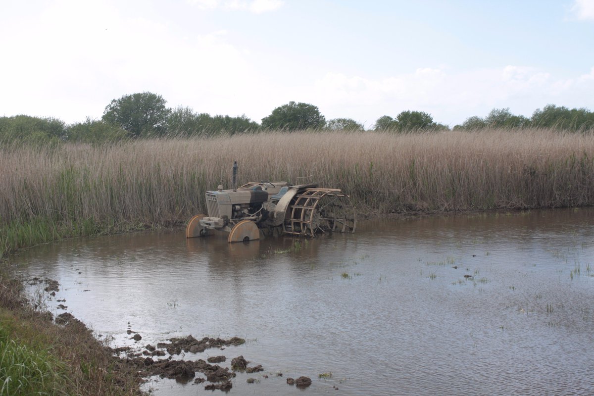 Alexandre Machado tweet media