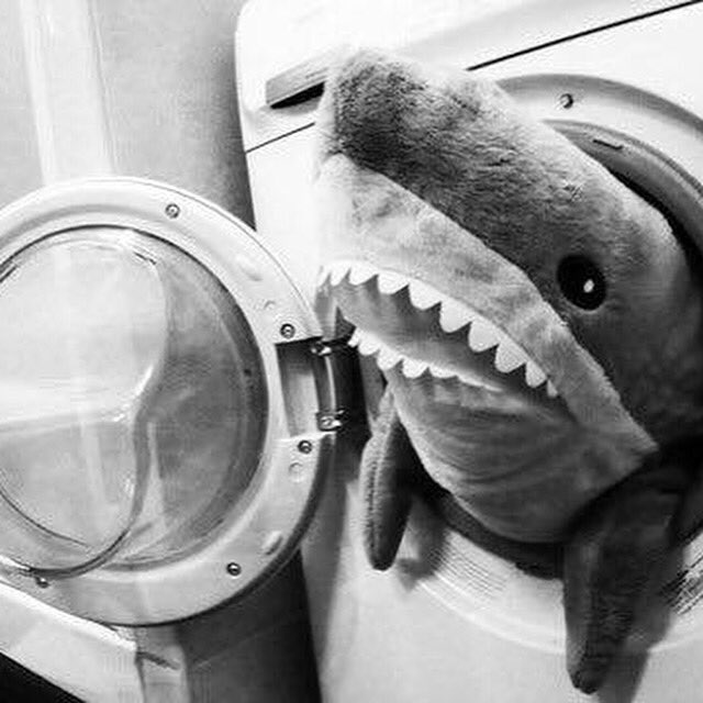 Have you checked out <a href="/washclubfilm/">Wash Club</a> yet? Join Wash Club today crowdfunder.co.uk/washclub