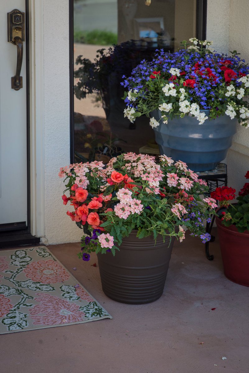 agricolaknows's tweet image. Give your front door a splash of color with #onestepstyle annual mixes and premium containers #hgtvhomeplants
