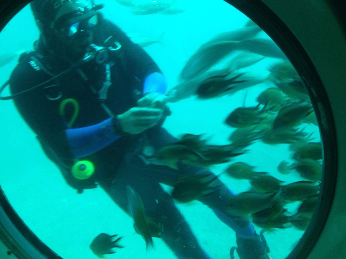 Day in a submarine!!! 🌞🐠🐟 #holiday #lanzarote #underwaterworld