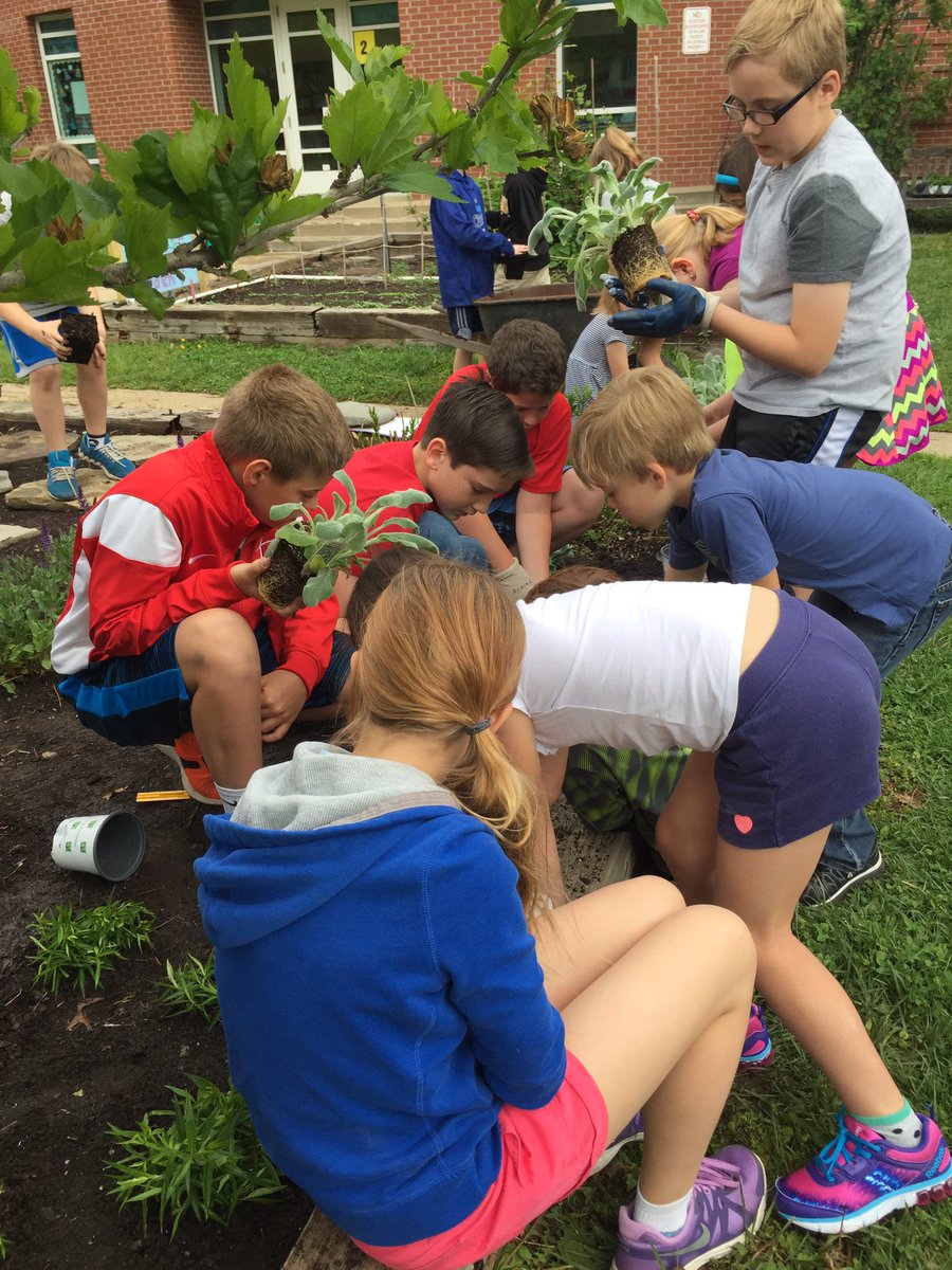 KLash_Prairie's tweet photo. Planting in the Prairie garden this morning with our buddies. Plant a seed and watch it grow! #prairiepride #team512 https://t.co/JzrNVEtWjE