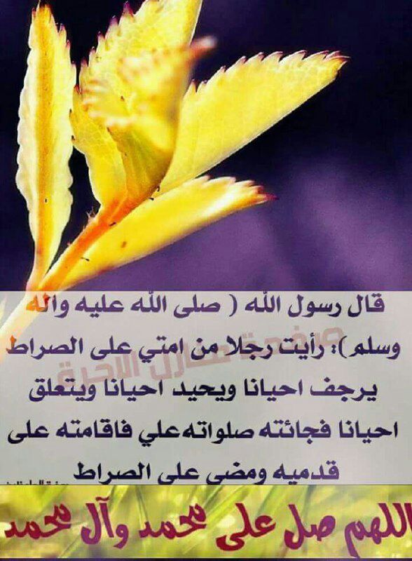 اللهم صل على محمد وال محمد الطيبين الطاهرين