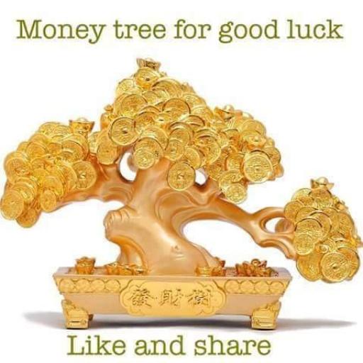 PsychiclyRaven's tweet image. #luckytree #wealth #prosperity hug the tree, and it will set you free! Have an amazing day today. Namaste&apos;