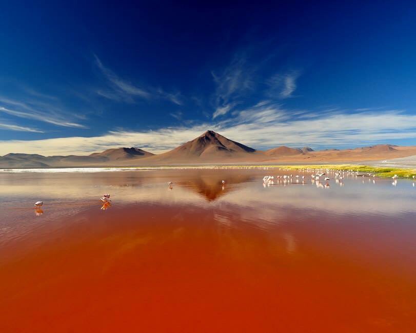 ViiajesMencor's tweet photo. Comenzamos la tarde con La Laguna Colorada,Bolivia😊 ¿Habrá alguna sorpresa más durante hoy?https://t.co/e2MoyxFe0x https://t.co/l0KLZU8Fjs