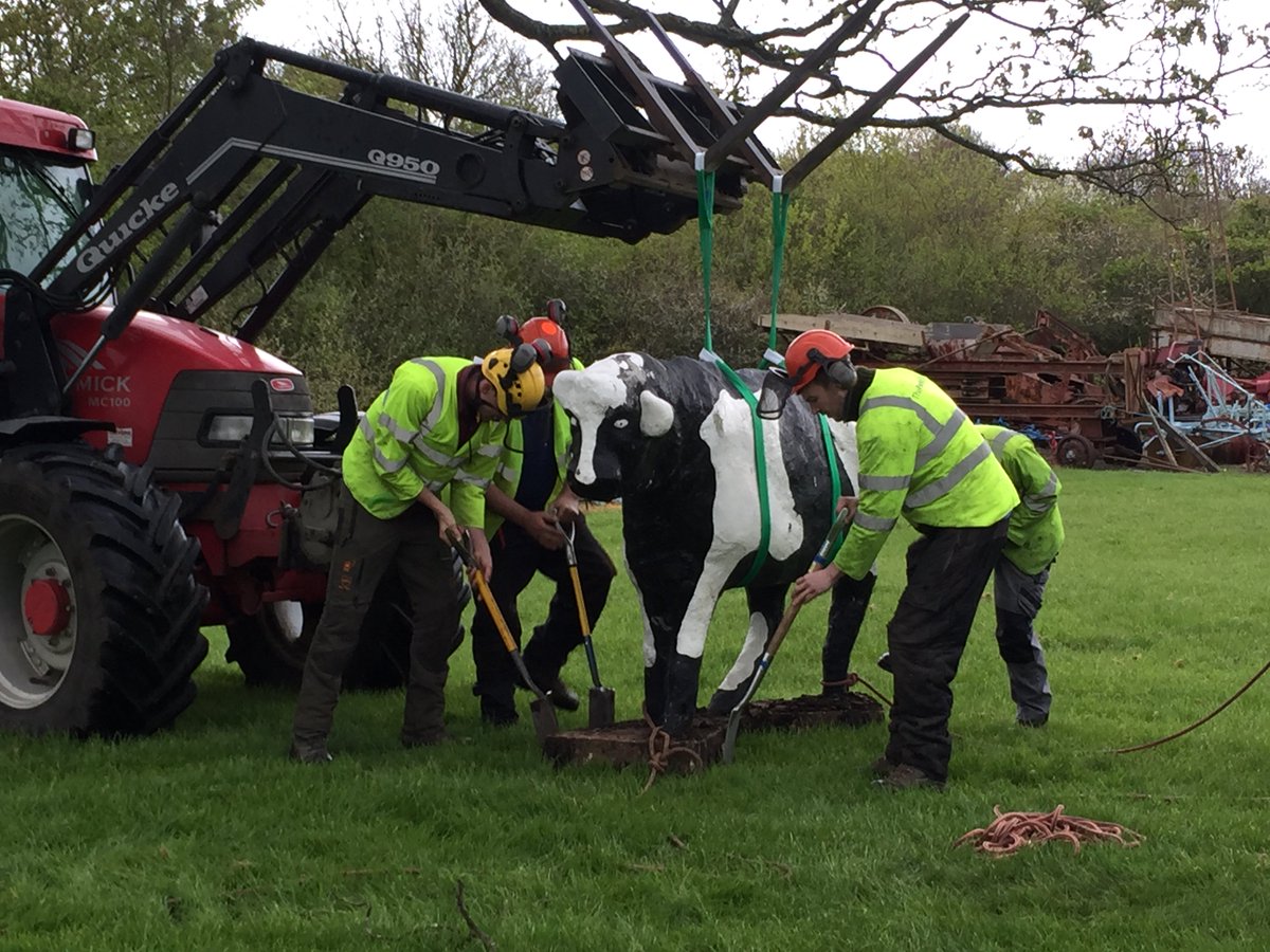 TheParksTrust's tweet image. The famous concrete cows moved back to their place of birth at @MKMuseum today with help from our Direct Works team.