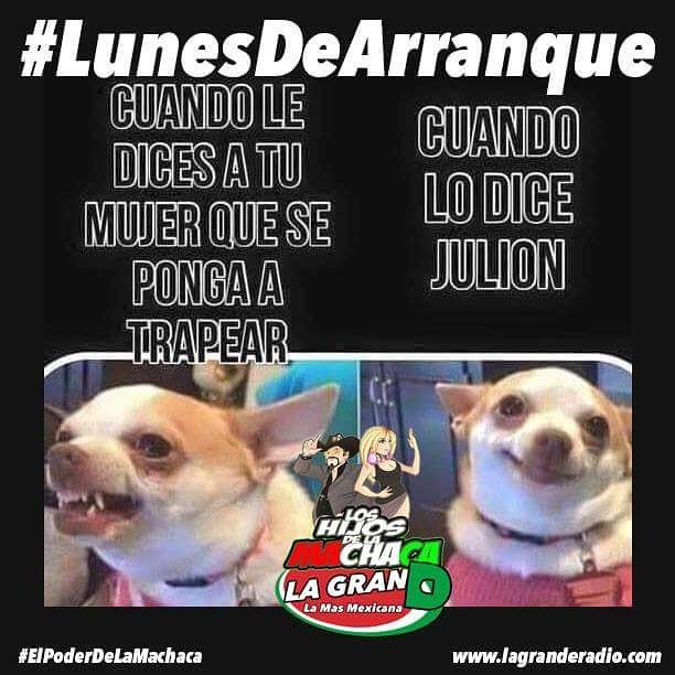 ElBroncofm's tweet photo. #LunesDeArranque #LHDLM #LaGranD #ConquistarMundo asi que #NoSuelte el #Trapeador #ElProgramucho #No1 de #LaRadio https://t.co/ArGgdpupQ0