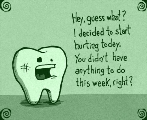 If a toothache is ruining your week, give us a call today!