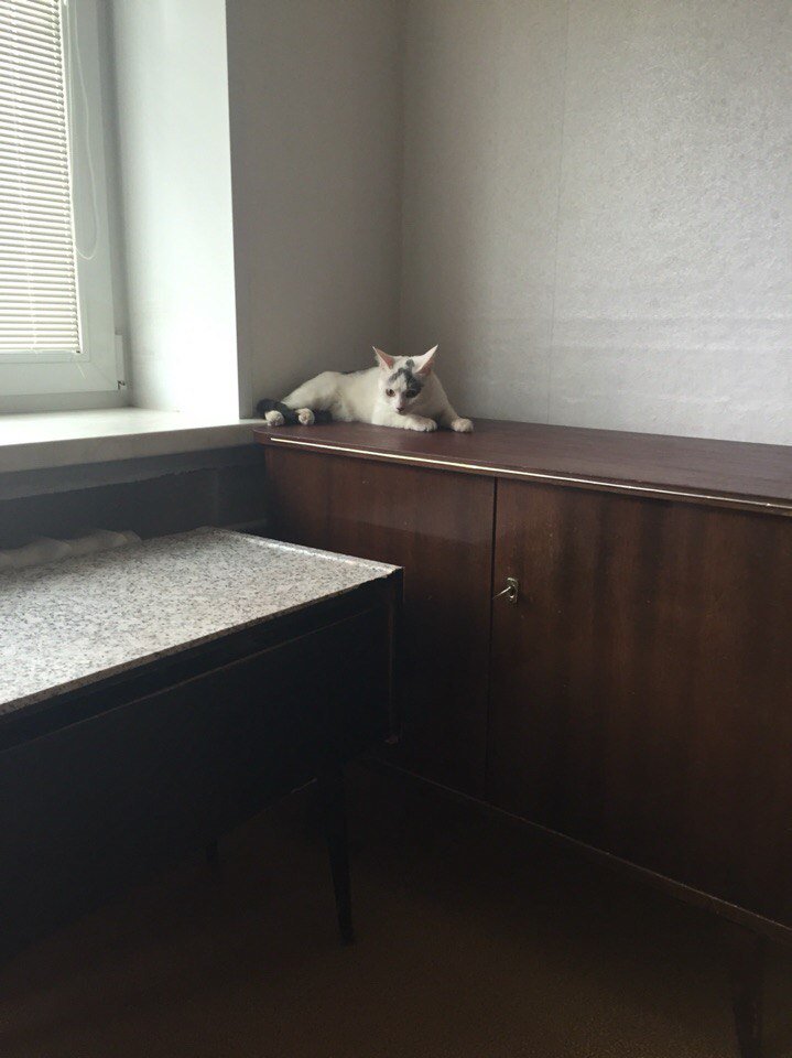 BisBooBoo's tweet image. #мвидеомулинекс #конкурсмвидео