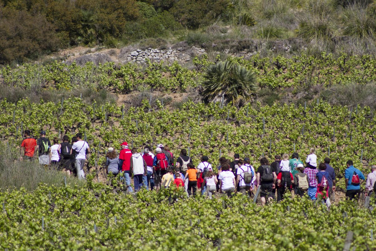VisitaAvinyonet's tweet photo. El #MicroVi2016 s'acomiada amb una passejada i tast entre vinyes: https://t.co/rD6XP5HjWR https://t.co/0926O7Dvmm