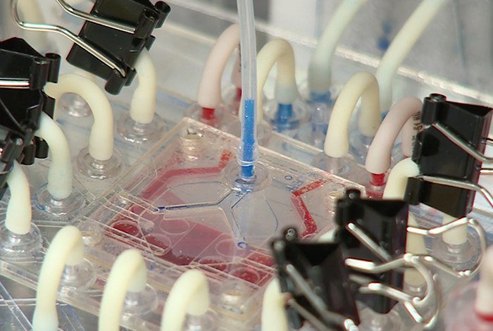 Los Alamos scientists are developing a tiny plastic lung to mimic human pulmonary function 1.usa.gov/1NLp0l6