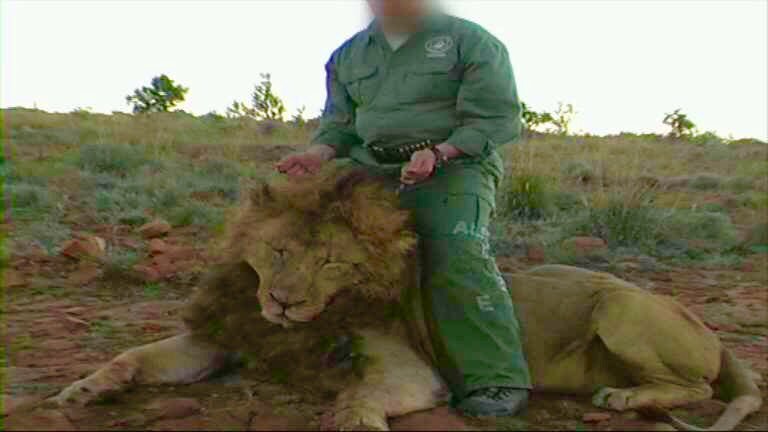 marcthevet's tweet photo. SAT 30th APRIL: 'Wildlife charities unite to call for end to lion trophy hunting' Join them: https://t.co/4q0uaA4P5J https://t.co/feMjlF6Xmc