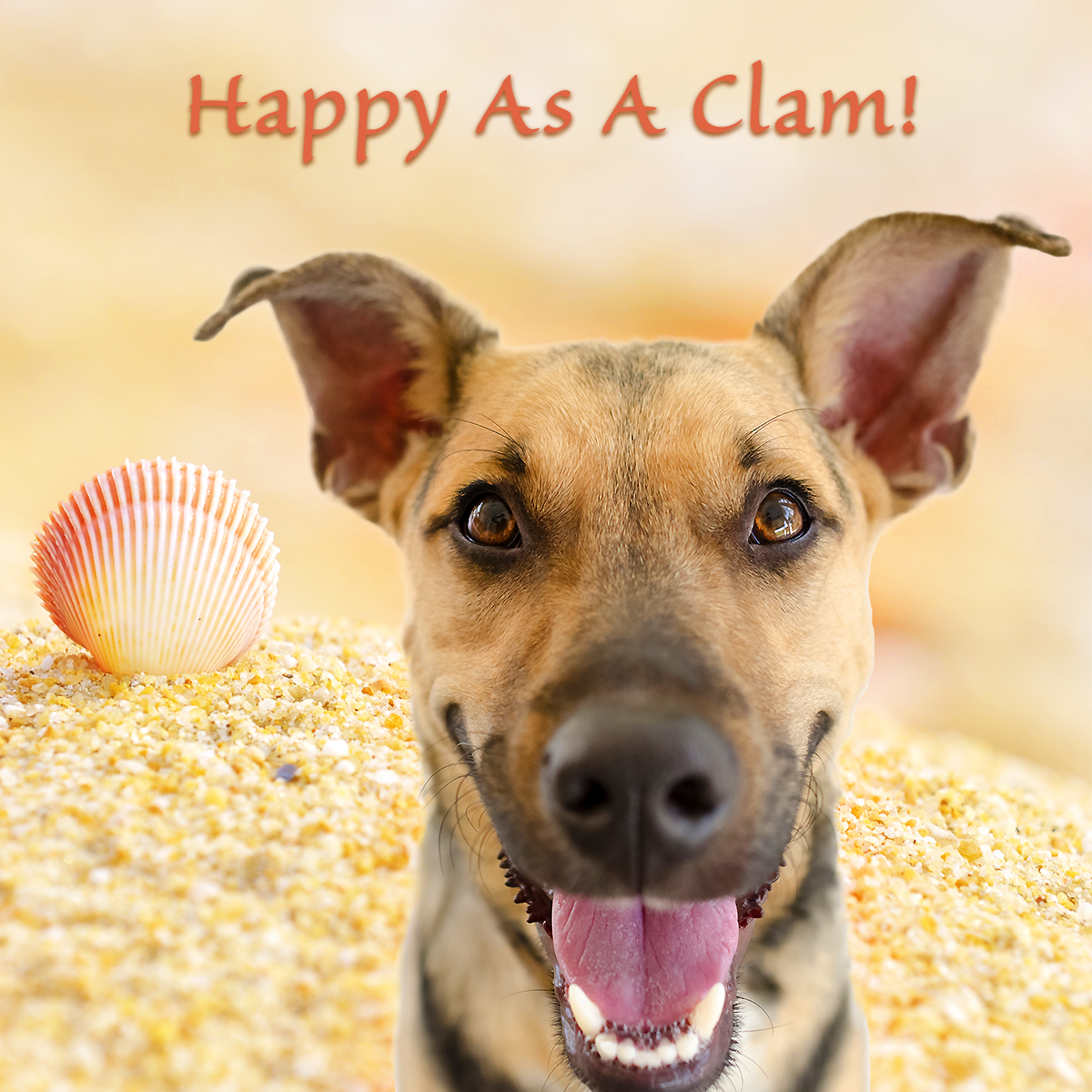 suzygodsey's tweet photo. Check out Charlie's latest blog!
https://t.co/YdSNK3WgbL
#conversationswithdog #animals #dogs #pets https://t.co/ygICAe9B8s
