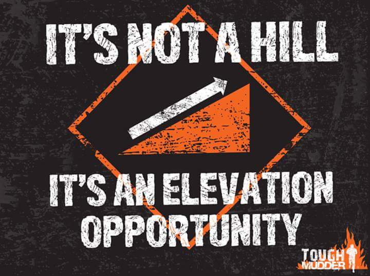 Ian Barton tweet media