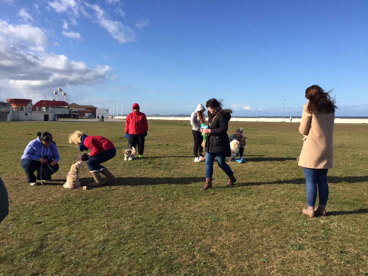 HartlepoolJack's tweet photo. Really enjoyed the Hartlepool Hounds event tonight. Which is your favourite dog? #hartlepool https://t.co/wOpF5jXbn8