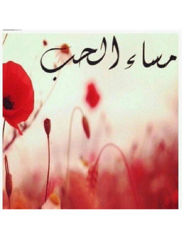 سالب جاد (@sammm557) on Twitter photo 