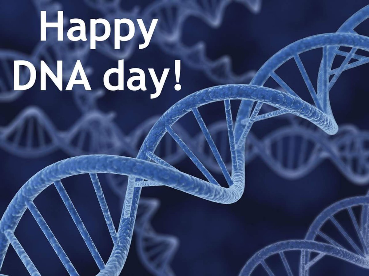 The1TrueNoodle's tweet photo. Happy DNA Day, mortals!
BEHOLD MY #intelligentdesign! Your DNA looks like pasta! #ProofsImReal! #DNADay16 #atheism https://t.co/o6O6LU4g1m