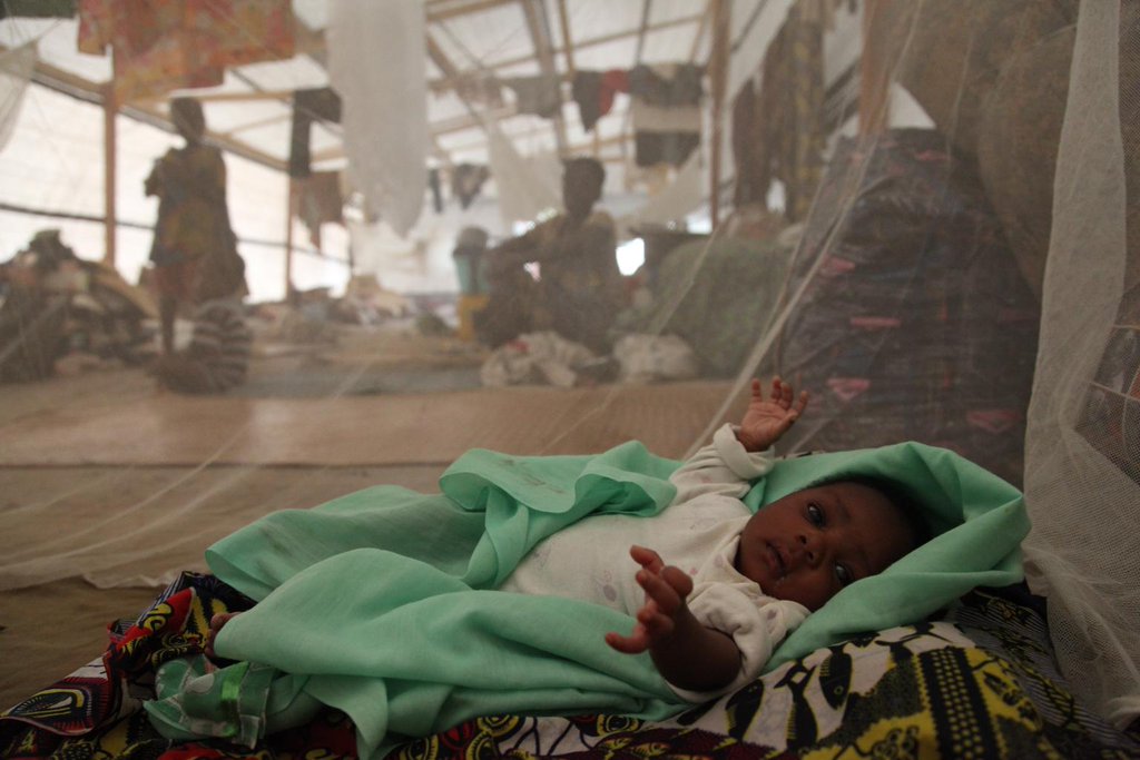 UNICEF's tweet photo. Globally about 3.2 billion people are at risk of malaria. It’s time to #EndMalaria for good! #WorldMalariaDay https://t.co/2JtNIs6EFd