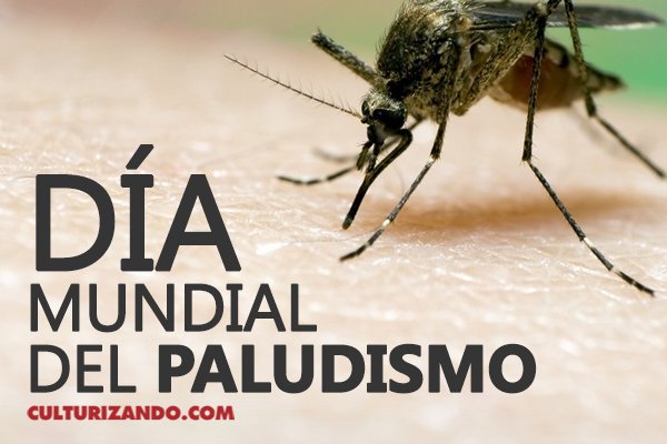 A propósito del Día Mundial del Paludismo o Malaria ► ow.ly/4n2RC2