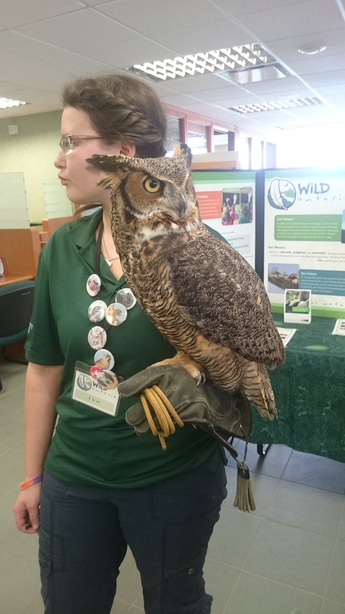 Thank you to #UniversityofGuelph for bringing their Birds of Prey to TDEramosaFriday - a big hit for Earth Day