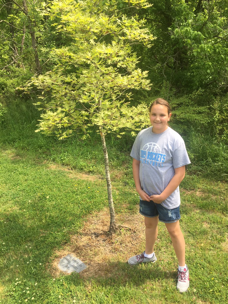 Sweet Hannah with her tree #adventureeducation #fittotinsley <a href="/RossRockets/">Ross Rockets</a>