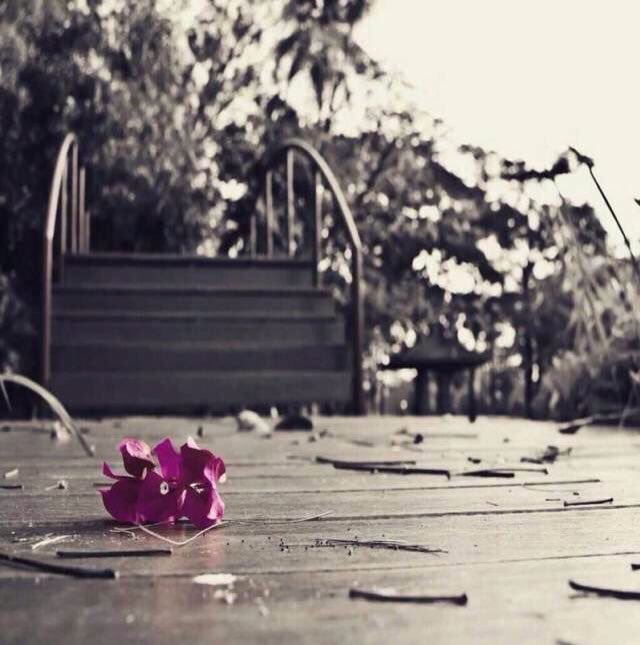 n_88k's tweet photo. بعض العلاقات علاجها أنك تخسرها ..
.
.
#النايف_العالي_للدعم https://t.co/BiJu1j30pu