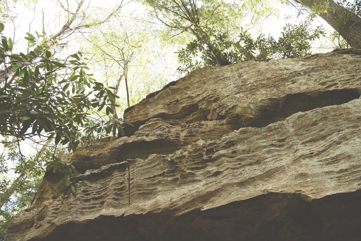 CatGroeber's tweet photo. Perfect hiking day!🌿 https://t.co/myVgotDNjv
