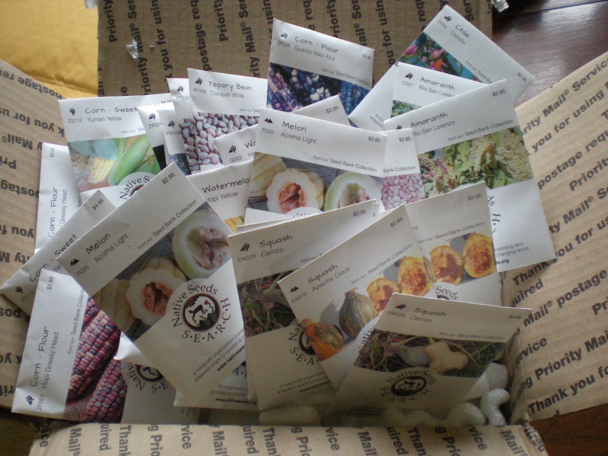 edible_antiques's tweet photo. When your @NativeSeedsSRCH order comes in &amp; you can't wait to play with them! #desertcrops #stopsnowingapril #seeds https://t.co/OktedNJJ3c