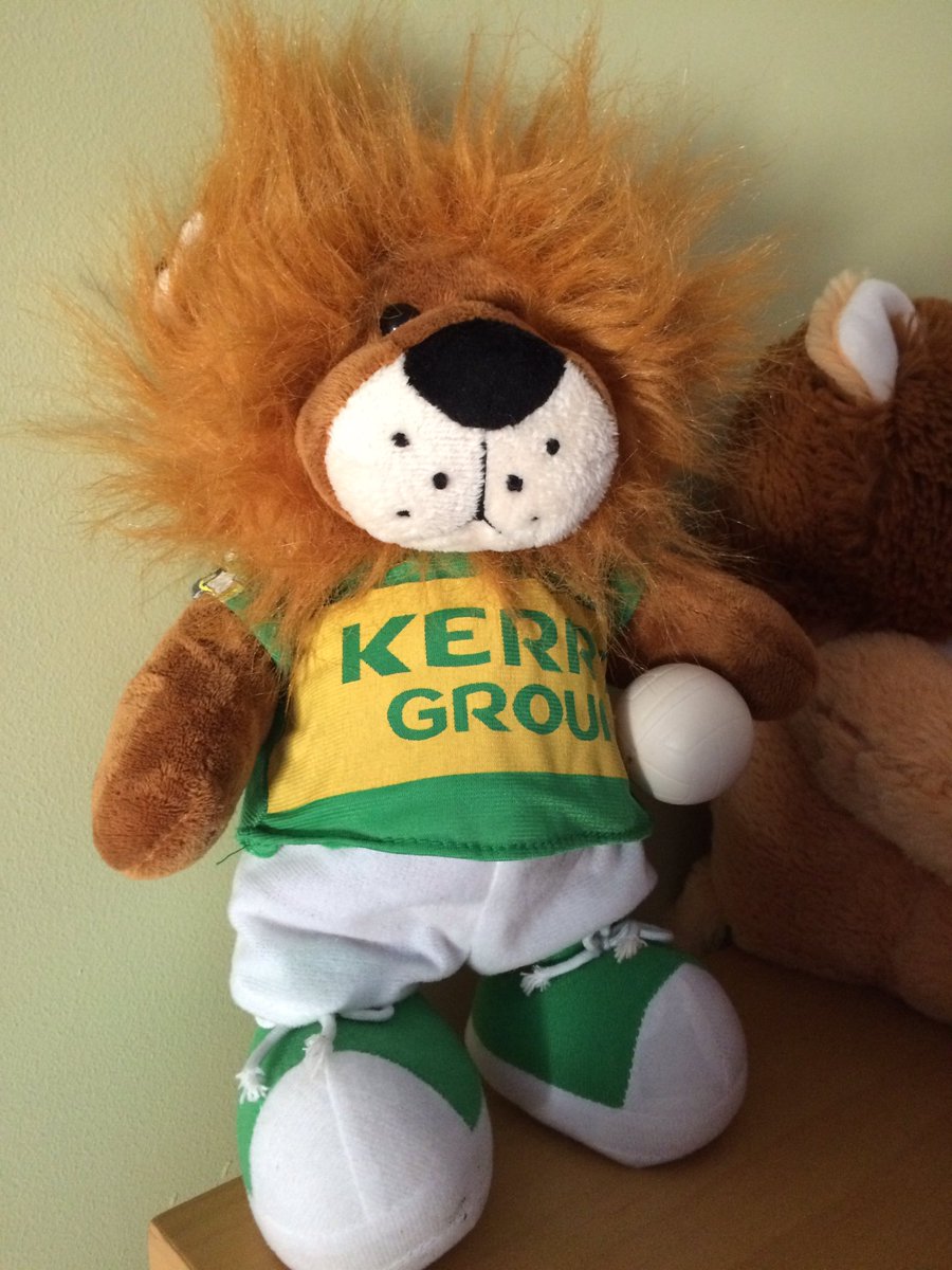Even the teddies in our house are sad after yesterday <a href="/weeshiefogarty/">Weeshie Fogarty</a> #DUBvKER <a href="/ciaranoregan/">Ciarán O' Regan</a>